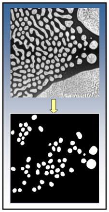 Image Processing and Analysis 